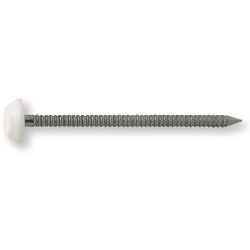 Pointe annelée inox A4 tête PVC 2x30